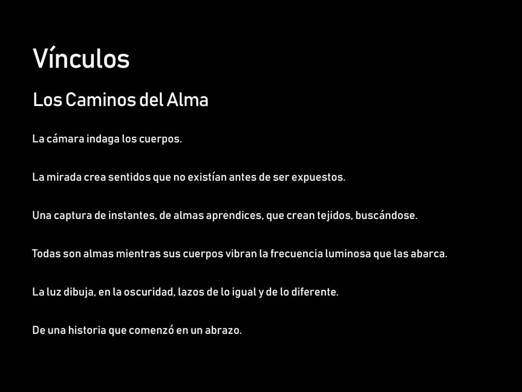 descripcion vinculos